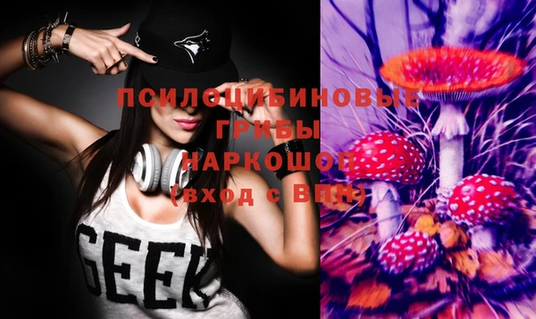 бошки Баксан